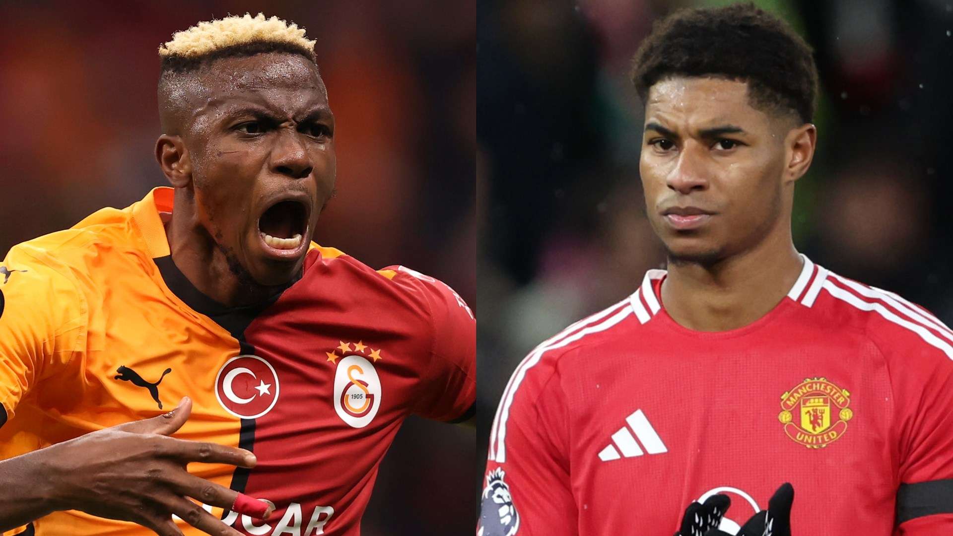 的表现反映 的表现反映